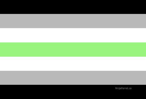 Gender Identity and Expression Pride Hand/Desk Flags | Choose Your Flag