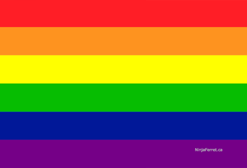 Rainbow Pride Hand/Desk Flags | Choose Your Flag