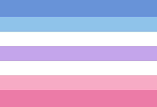 Gender Identity and Expression Pride Hand/Desk Flags | Choose Your Flag