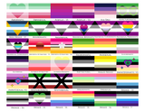 Choose Your Aroace Wall Flag | Single-Sided | 4 Sizes | Aromantic and Asexual Spectrum