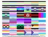 Choose Your Gender Wall Flag | Single-Sided | 4 Sizes | Gender Identity and Expression