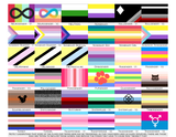 Choose Your Gender Wall Flag | Single-Sided | 4 Sizes | Gender Identity and Expression