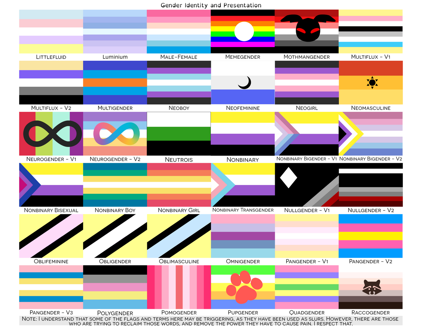 Gender Identity and Expression Pride Hand/Desk Flags | Choose Your Flag