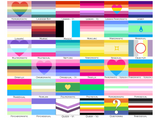 Choose Your Orientation Wall Flag | Single-Sided | 4 Sizes | Romantic and Sexual Orientations