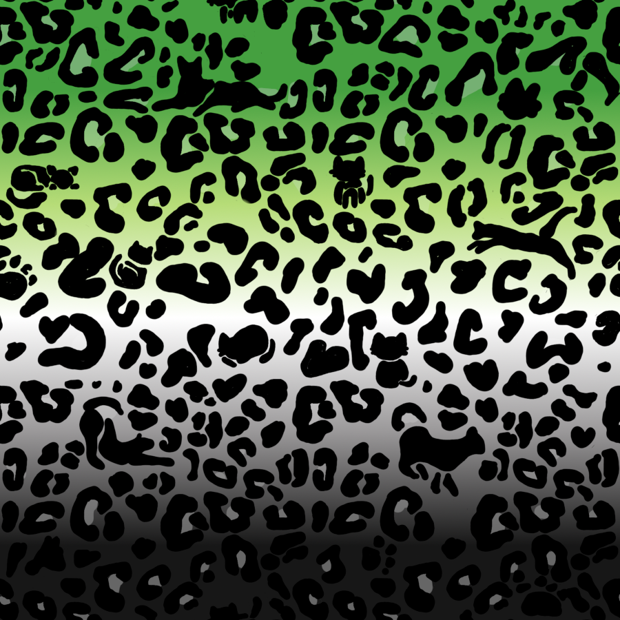 Manta con capucha de forro polar Sherpa unisex con estampado de leopardo | Elige tu combinación de colores