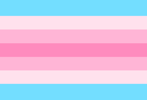 Gender Identity and Expression Pride Hand/Desk Flags | Choose Your Flag