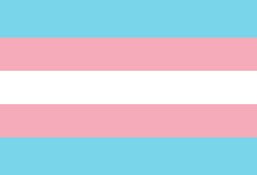 Gender Identity and Expression Pride Hand/Desk Flags | Choose Your Flag