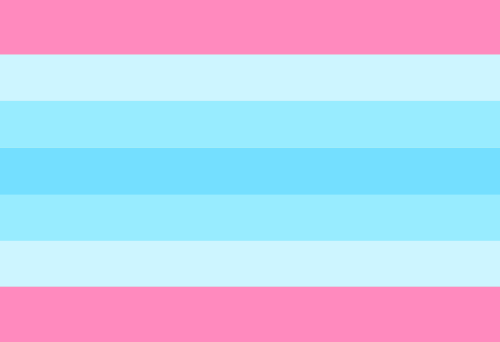 Gender Identity and Expression Pride Hand/Desk Flags | Choose Your Flag