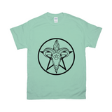 Baphomet Pentagram Relaxed Fit Tshirt - LIGHT | Choose Your Colourway | Gildan Apparel ninjaferretart