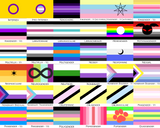 Choose Your Gender Pride Yard and Garden Flags | Single Or Double-Sided | 2 Sizes