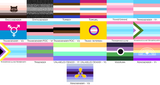 Choose Your Gender Pride Yard and Garden Flags | Single Or Double-Sided | 2 Sizes