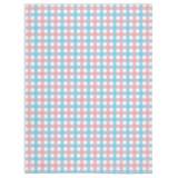 Transgender Gingham Pride Minky Blankets