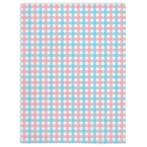 Transgender Gingham Pride Minky Blankets