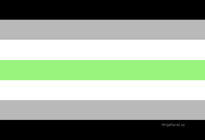Gender Identity and Expression Pride Hand/Desk Flags | Choose Your Flag