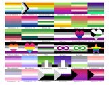 Choose Your Aroace Wall Flag | Single-Sided | 4 Sizes | Aromantic and Asexual Spectrum