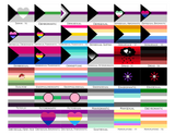 Choose Your Aroace Wall Flag | Single-Sided | 4 Sizes | Aromantic and Asexual Spectrum