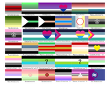 Choose Your Aroace Wall Flag | Single-Sided | 4 Sizes | Aromantic and Asexual Spectrum