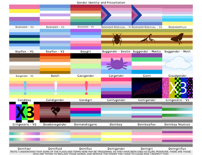 Gender Identity and Expression Pride Hand/Desk Flags | Choose Your Flag