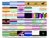 Choose Your Gender Wall Flag | Single-Sided | 4 Sizes | Gender Identity and Expression