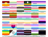 Choose Your Gender Wall Flag | Single-Sided | 4 Sizes | Gender Identity and Expression