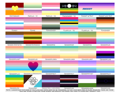 Choose Your Gender Wall Flag | Single-Sided | 5 Sizes | Gender Identity and Expression