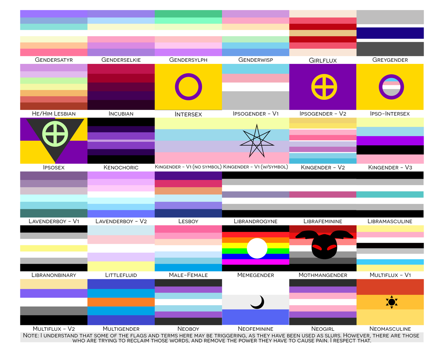 Choose Your Gender Wall Flag | Single-Sided | 5 Sizes | Gender Identity and Expression