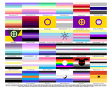Choose Your Gender Wall Flag | Single-Sided | 4 Sizes | Gender Identity and Expression
