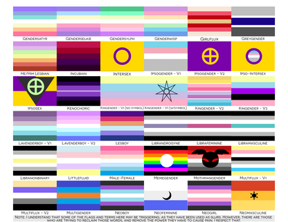 Choose Your Gender Wall Flag | Single-Sided | 5 Sizes | Gender Identity and Expression