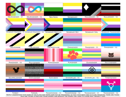 Choose Your Gender Wall Flag | Single-Sided | 5 Sizes | Gender Identity and Expression