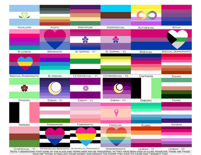 Romantic and Sexual Orientation Pride Indoor Mat | Choose Your Flag