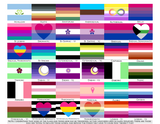 Choose Your Orientation Wall Flag | Single-Sided | 4 Sizes | Romantic and Sexual Orientations
