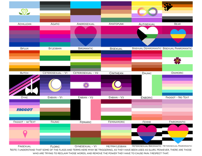 Romantic and Sexual Orientation Pride Hand/Desk Flags | Choose Your Flag | Double Sided