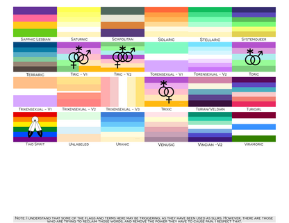 Romantic and Sexual Orientation Pride Indoor Mat | Choose Your Flag