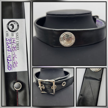 Black collar with buckle. 14.75"-16.75"/37.47-42.55cm