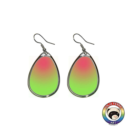 Aroace Gradient or Faux Stone Oval Earrings | Choose Your Colourway