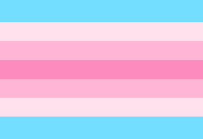 Gender Identity and Expression Pride Hand/Desk Flags | Choose Your Flag