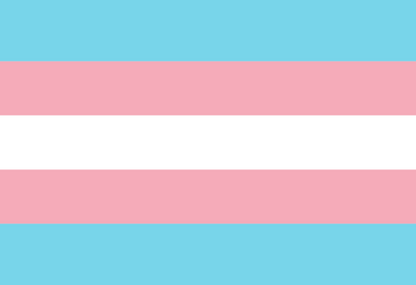 Gender Identity and Expression Pride Hand/Desk Flags | Choose Your Flag