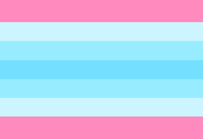 Gender Identity and Expression Pride Hand/Desk Flags | Choose Your Flag