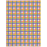 Rainbow and White Plaid Pride Minky Blankets