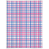 Bisexual Tattersol Plaid Pride Minky Blankets