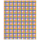 Rainbow and White Plaid Pride Minky Blankets