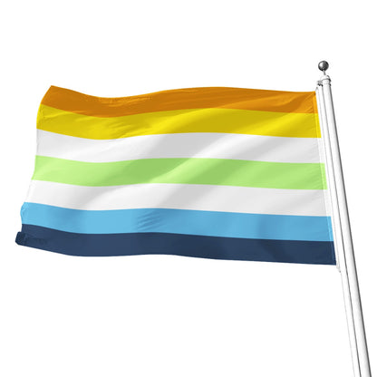 Aroace Agender - Drapeau imprimé intégral V1 | 5 tailles