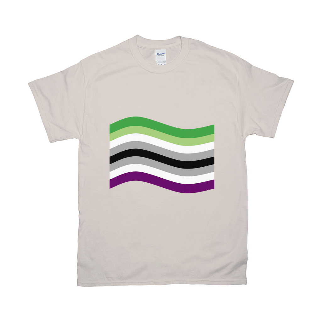 Aro Ace Pride Flag Relaxed Fit Tshirt - LIGHT | Choose Your Flag Apparel ninjaferretart