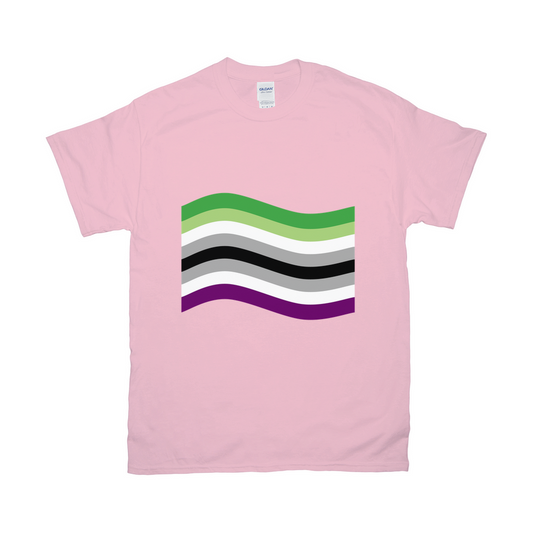 Aro Ace Pride Flag Relaxed Fit Tshirt - LIGHT | Choose Your Flag Apparel ninjaferretart