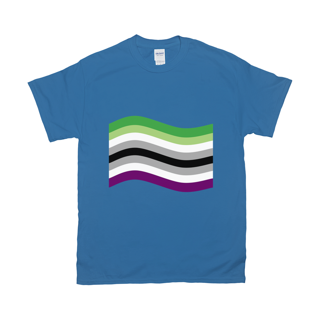 Aro Ace Pride Flag Relaxed Fit Tshirt - LIGHT | Choose Your Flag Apparel ninjaferretart