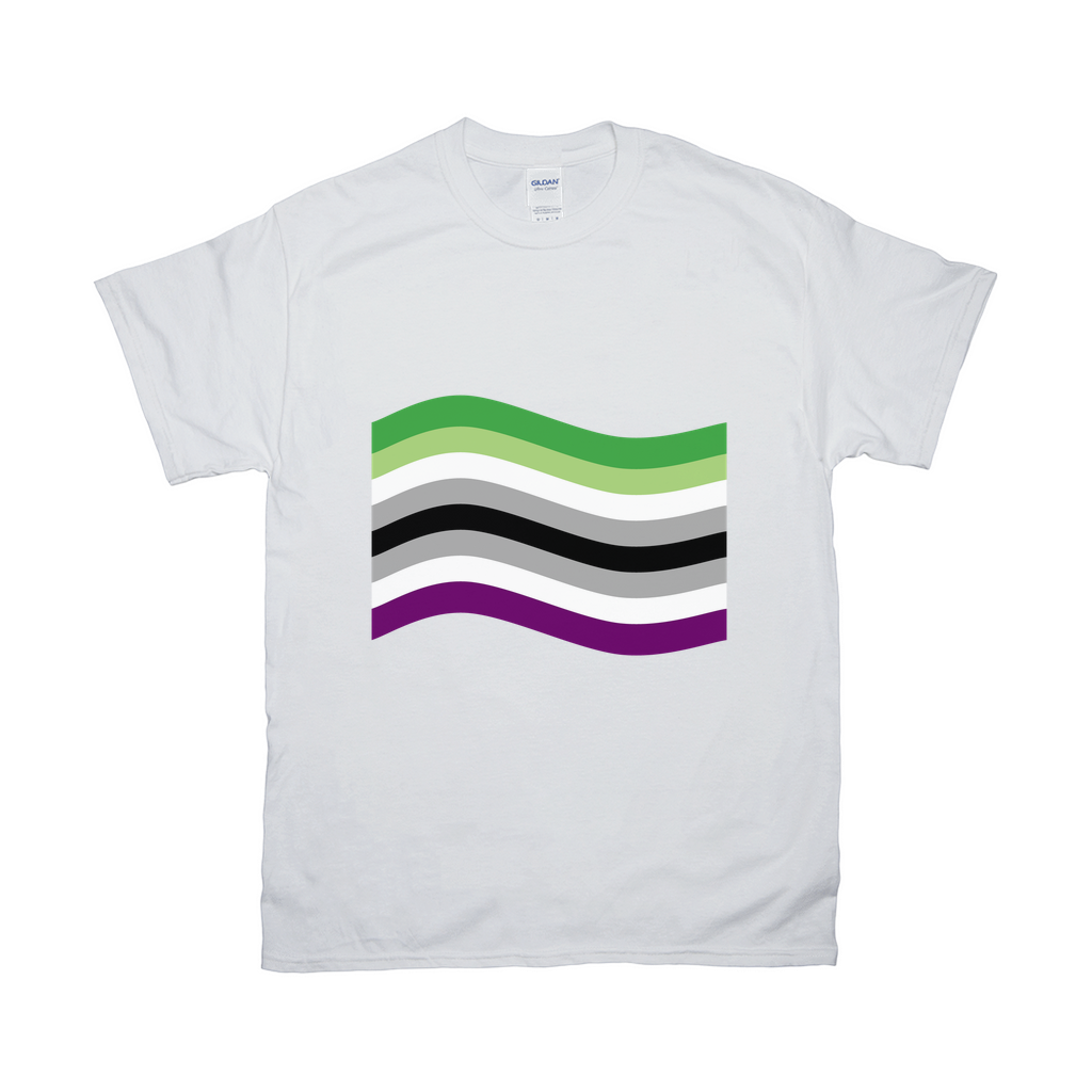 Aro Ace Pride Flag Relaxed Fit Tshirt - LIGHT | Choose Your Flag Apparel ninjaferretart