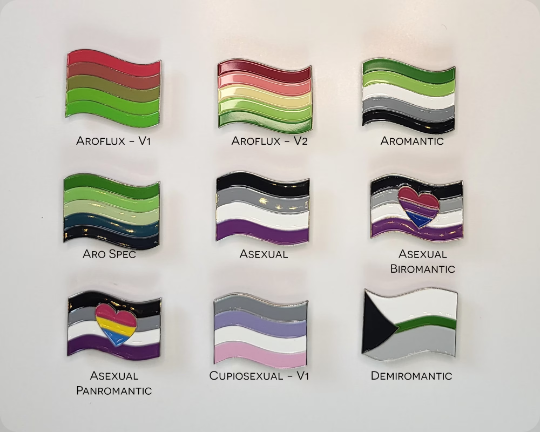 Aroace Pride Flag Enamel Pins | Choose Your Flag Accessories ninjaferretart