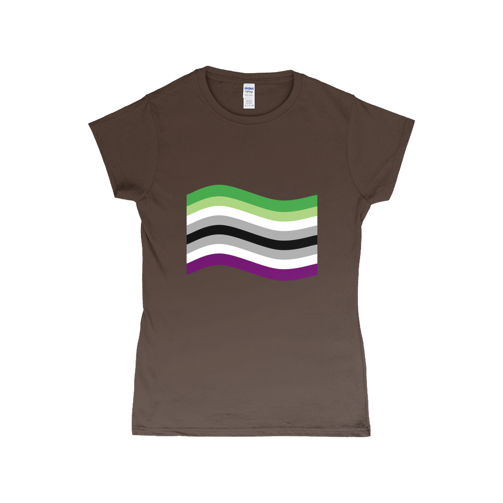 Aroace Pride Flag Fitted Tshirt | Choose Your Flag | Gildan Apparel ninjaferretart