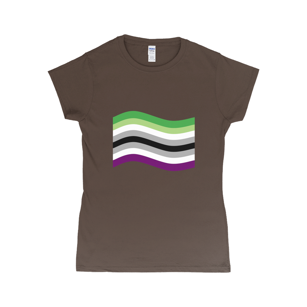 Aroace Pride Flag Fitted Tshirt | Choose Your Flag | Gildan Apparel ninjaferretart