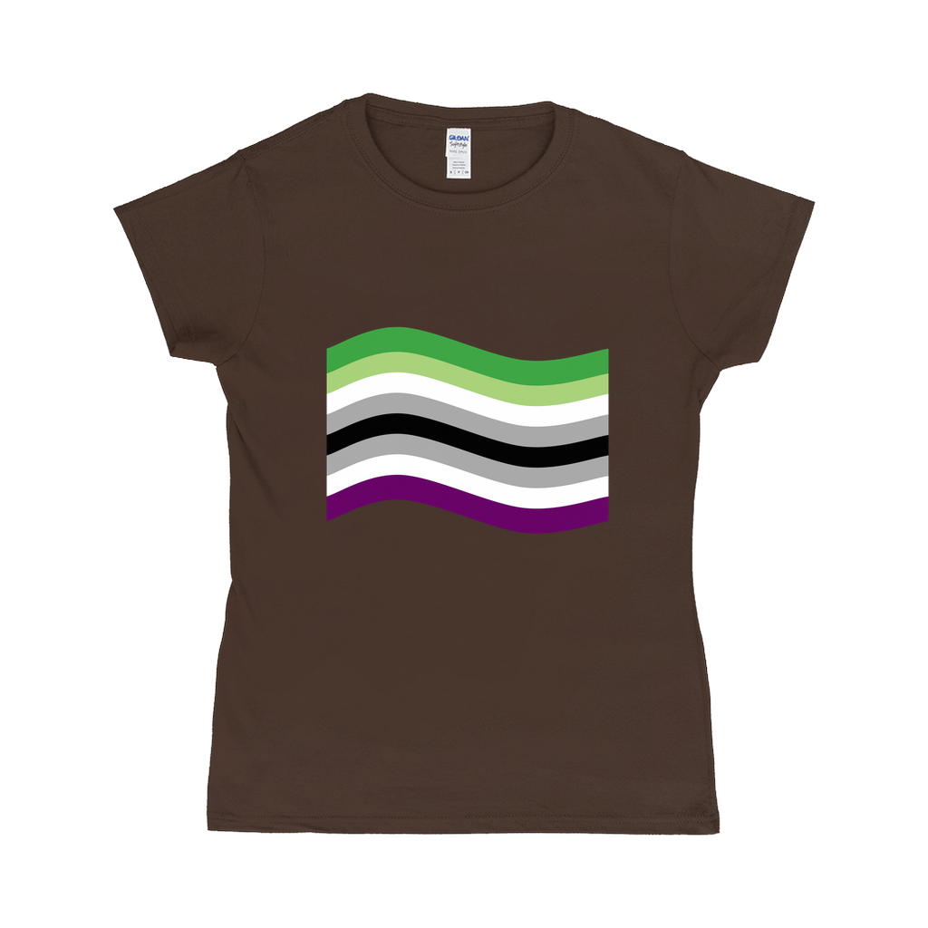 Aroace Pride Flag Fitted Tshirt | Choose Your Flag | Gildan Apparel ninjaferretart